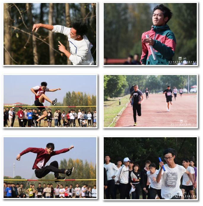 1559273809147207.png 5.png