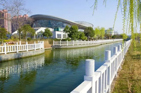 1560135119110358.jpg 25.webp_副本.jpg