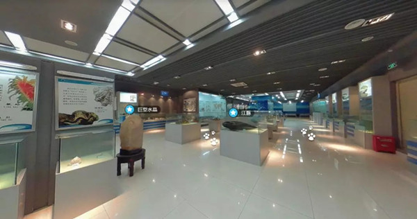 1560135163349641.jpg 27.webp_副本.jpg