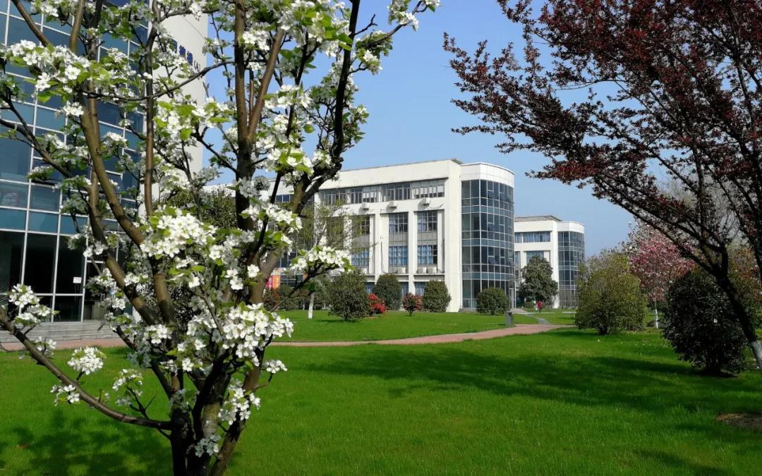 1561859358927607.jpg 1.jpg