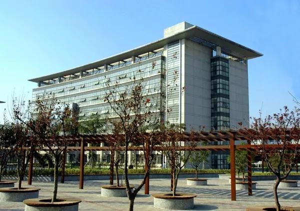 1561859393118673.jpg 2.jpg