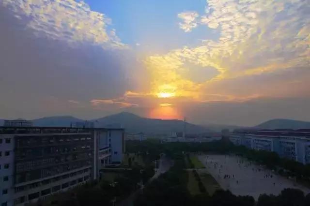 1561859409191502.jpg 3.jpg