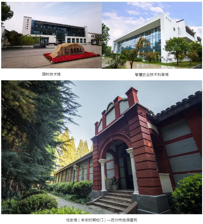 1562811609786715.jpg 222.jpg