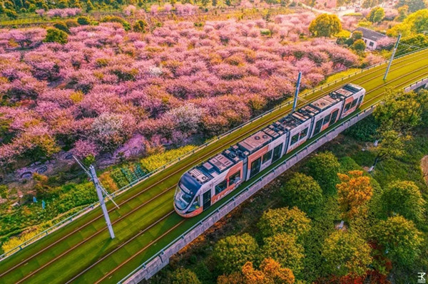 1562811738660143.jpg 640.webp.jpg