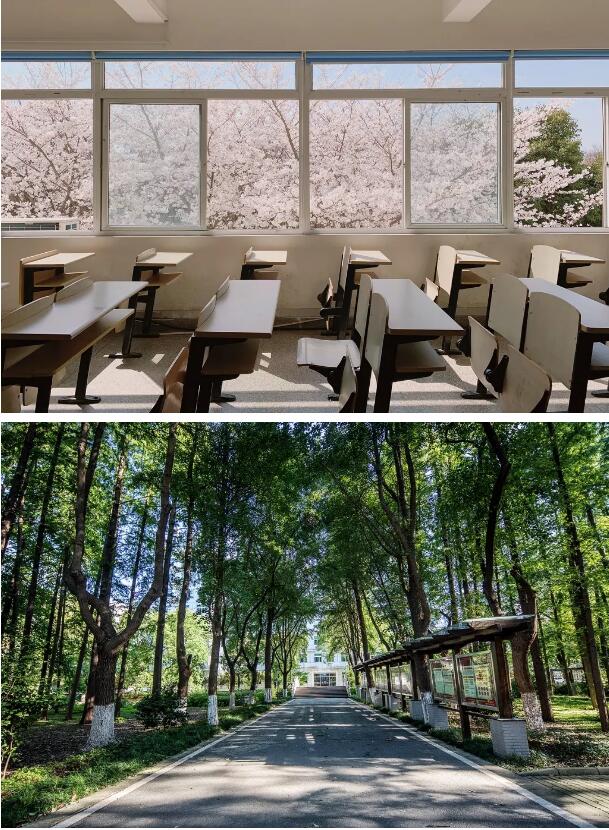 1562811861110106.jpg 65.jpg