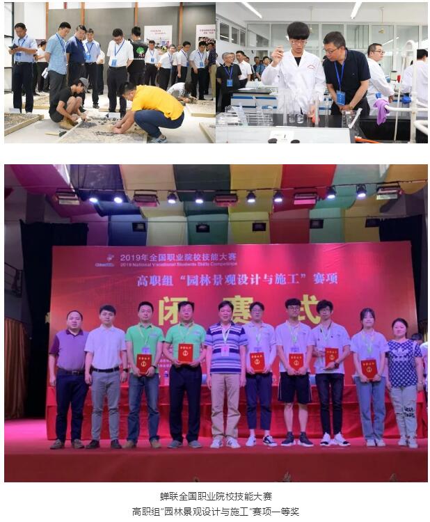 1562811918778964.jpg 66.jpg