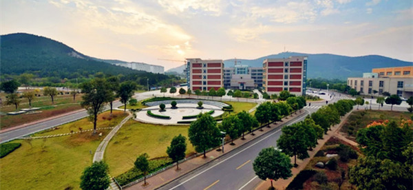 1564110887370188.jpg 88.webp_副本.jpg