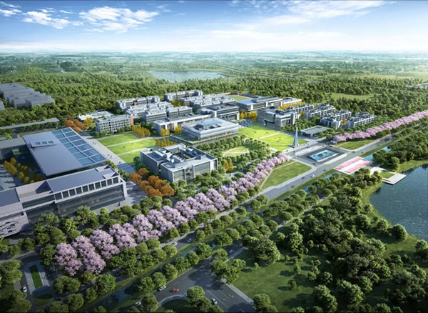 1568254275138165.jpg 21.webp_副本.jpg