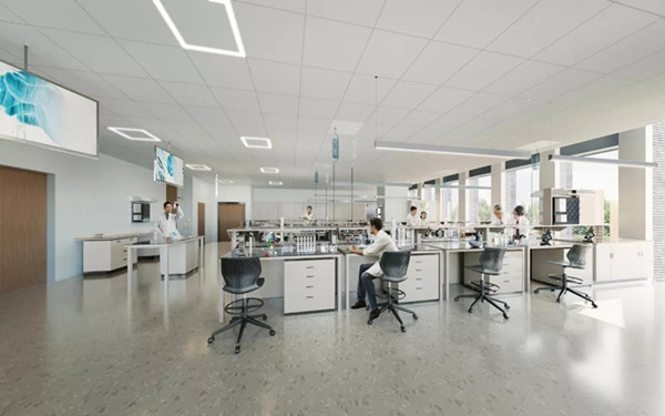 1568254365177878.jpg 29.webp_副本.jpg