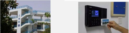 1582855956832653.jpg 31.jpg