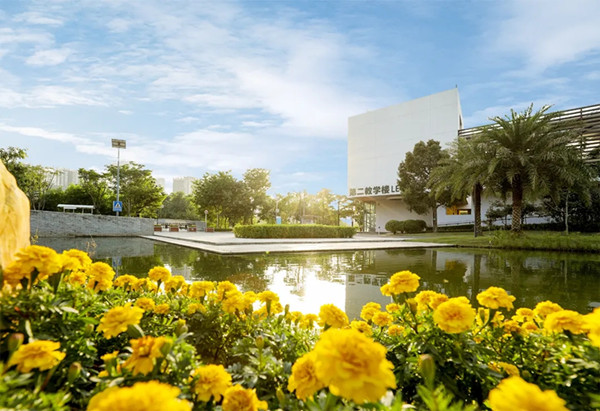 1585638316370365.jpg 640.webp_副本.jpg