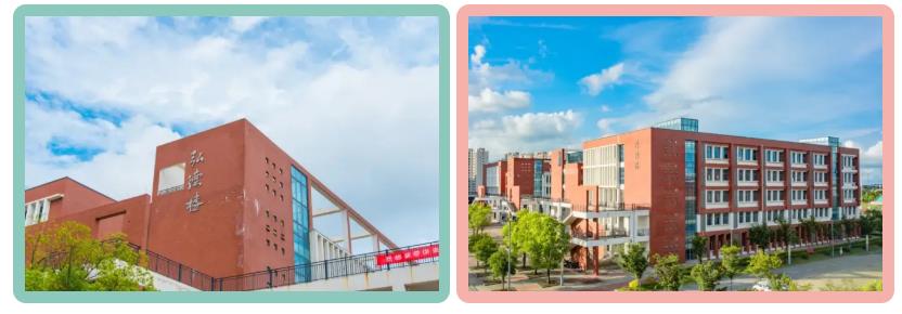 1592959008126869.jpg 83609124.jpg