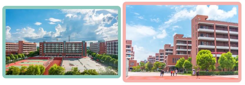 1592959091306132.jpg hd6.jpg