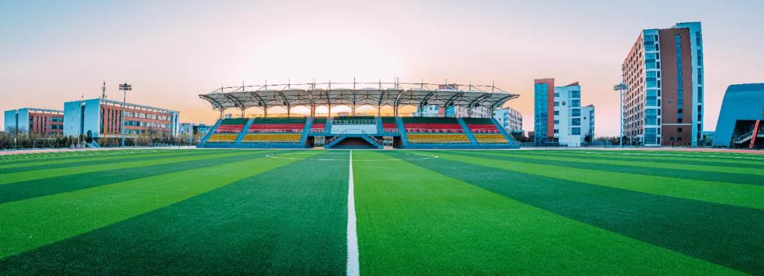 1593738351116975.jpg 2.jpg