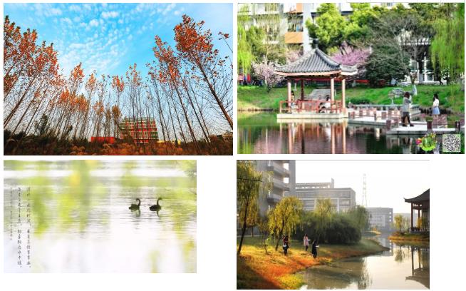 1595379642574637.jpg 360截圖20200722090028432.jpg