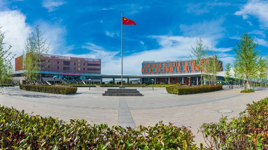 1596070396234182.jpg 1.jpg