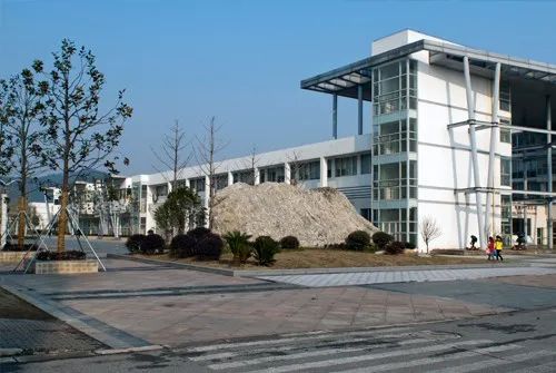 1597021041311480.jpg 4.jpg