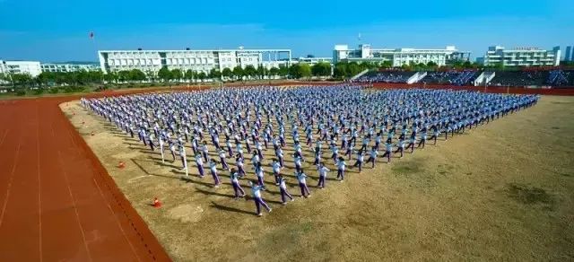 1597021059130460.jpg 5.jpg