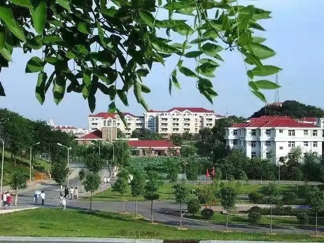 1603865868114791.jpg 640.webp (3).jpg