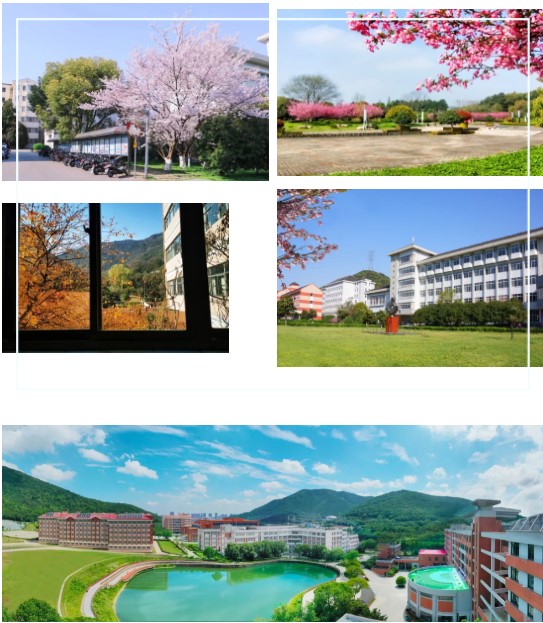 1624609787113204.jpg 4.jpg