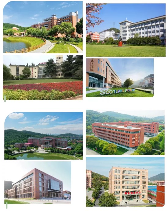 1624609815115967.jpg 8.jpg