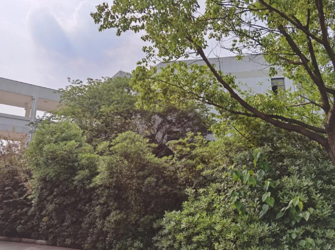 1626083501246725.jpg 5.jpg