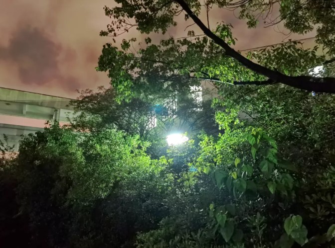 1626083505733116.jpg 6.jpg