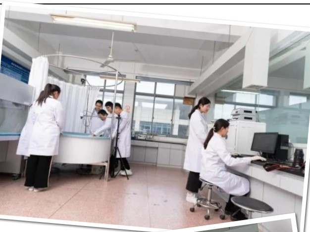 1626916212791173.jpg 8.jpg