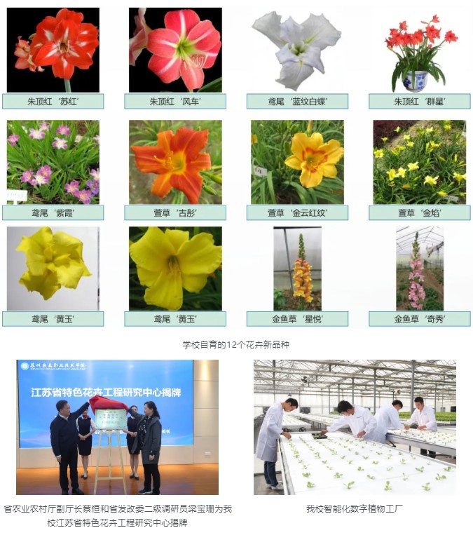 1627378703400215.jpg Dingtalk_20210727173811.jpg