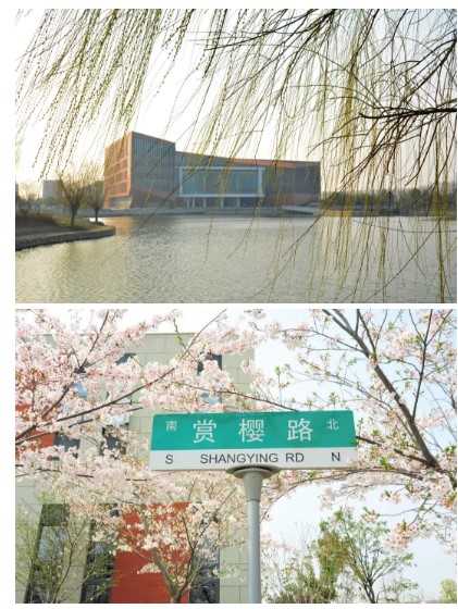 1630895946182377.jpg 6.jpg