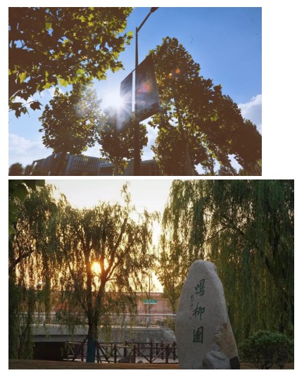 1630895953387141.jpg 7.jpg