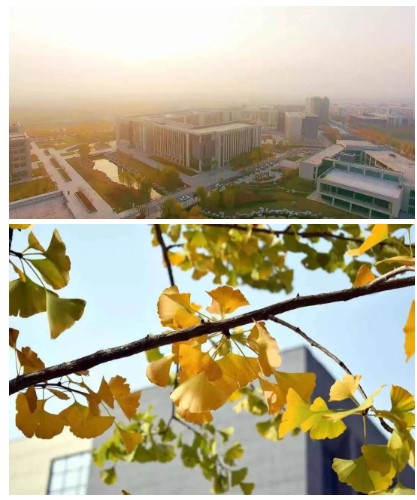 1630895959133722.jpg 8.jpg