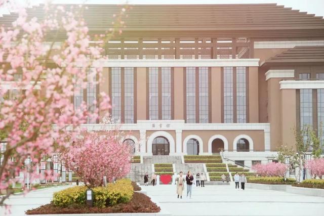 1636684502561669.jpg jsde2.jpg