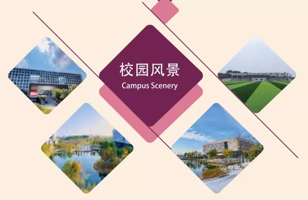 1644807930456817.jpg 7777.webp.jpg