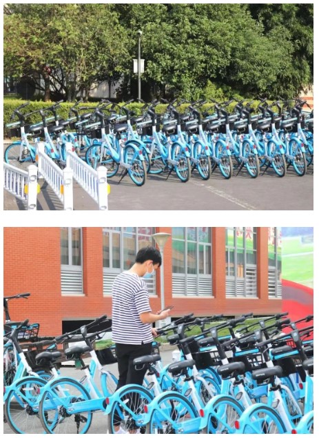 1656463669862663.jpg w.jpg