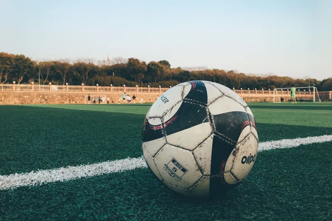 1656463698131166.jpg t.jpg