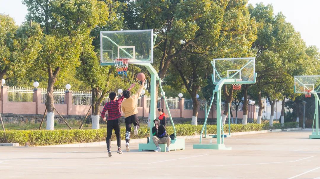 1656463707410568.jpg y.jpg