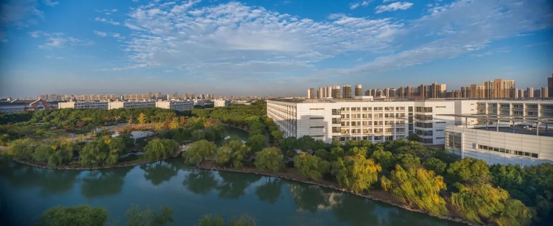 1656918205123213.jpg 1.jpg