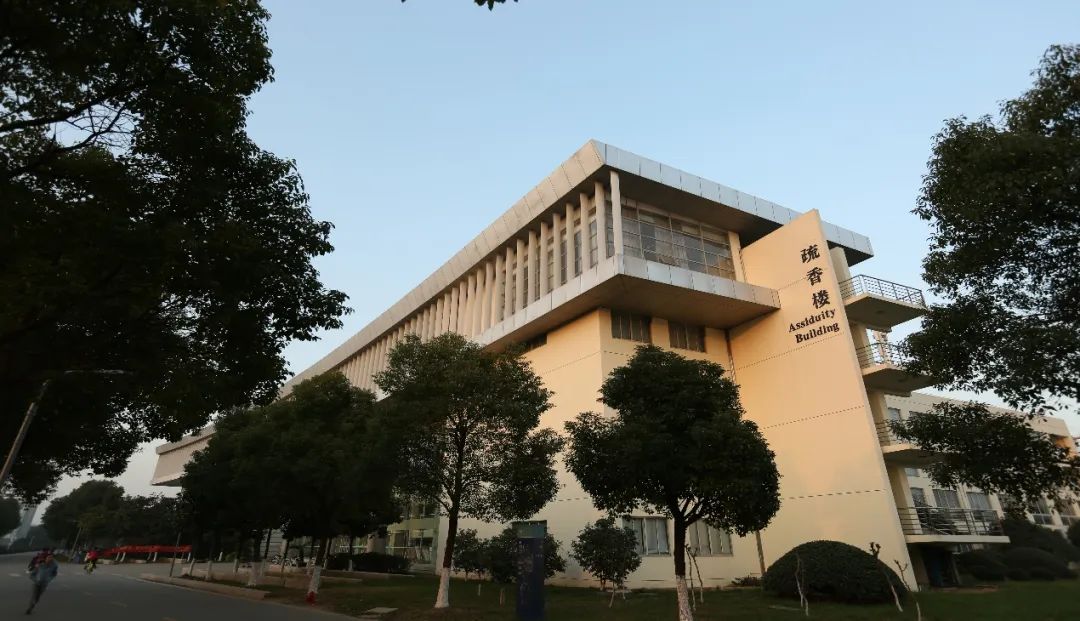 1656918213120335.jpg 2.jpg