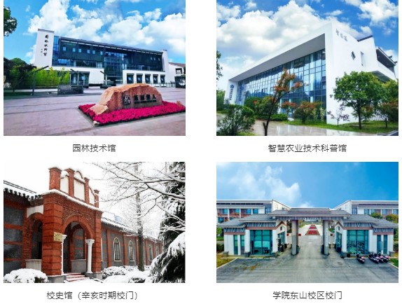 1657240399612114.jpg 1.jpg