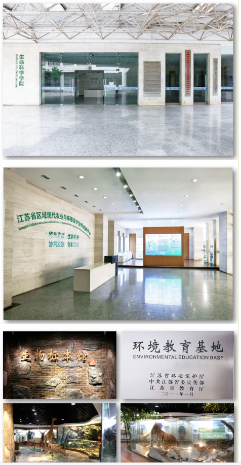 1657674791289640.jpg q.jpg