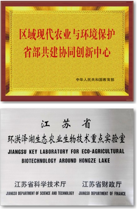 1657674887388510.jpg t.jpg