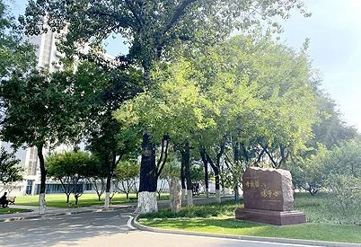 1666318873134817.png 8.png