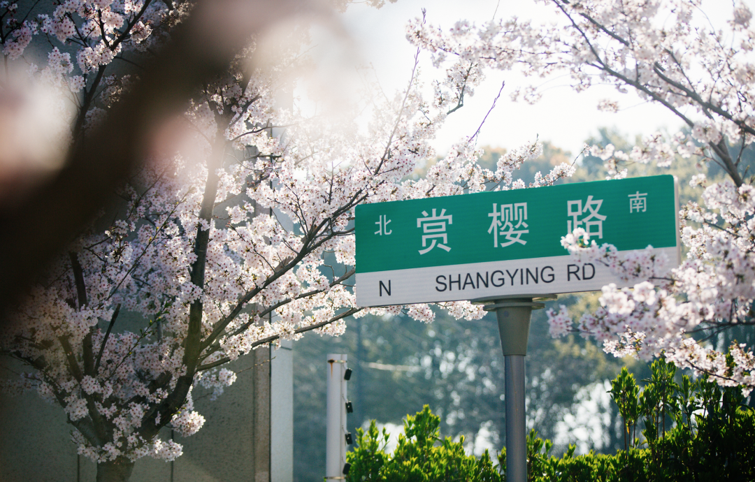 1675754470246066.png 640 (37).png