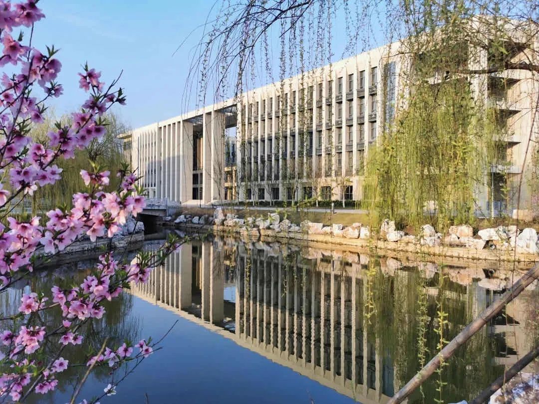 1675755240722126.jpg 640 (28).jpg