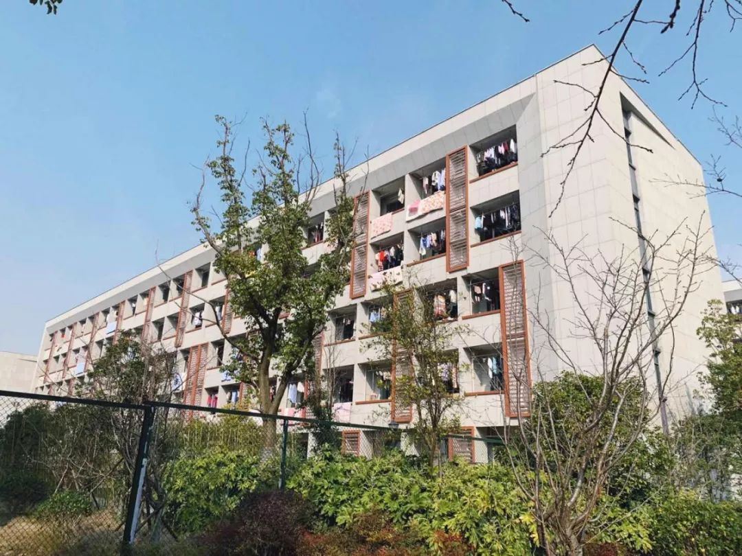 1675755483841082.jpg 640 (33).jpg