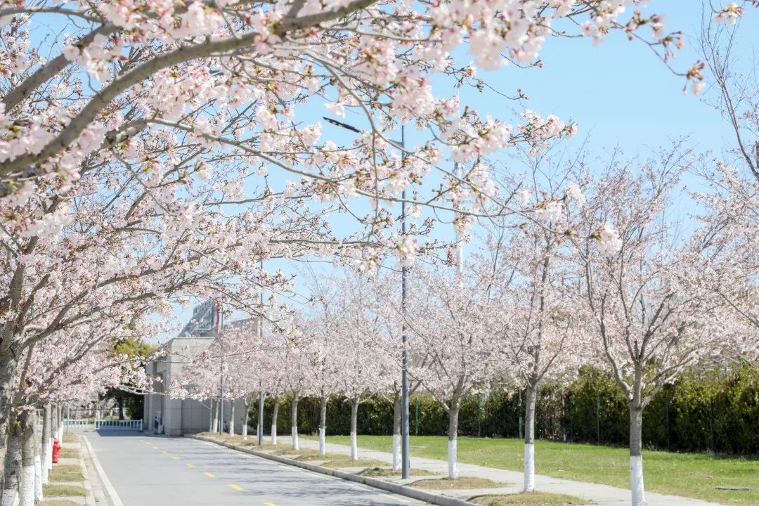 1675755564465207.jpg 640 (36).jpg