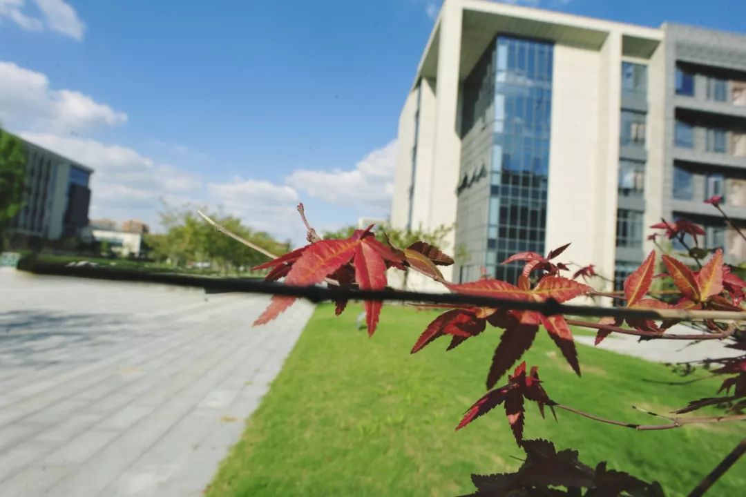 1675755622361154.jpg 640 (38).jpg