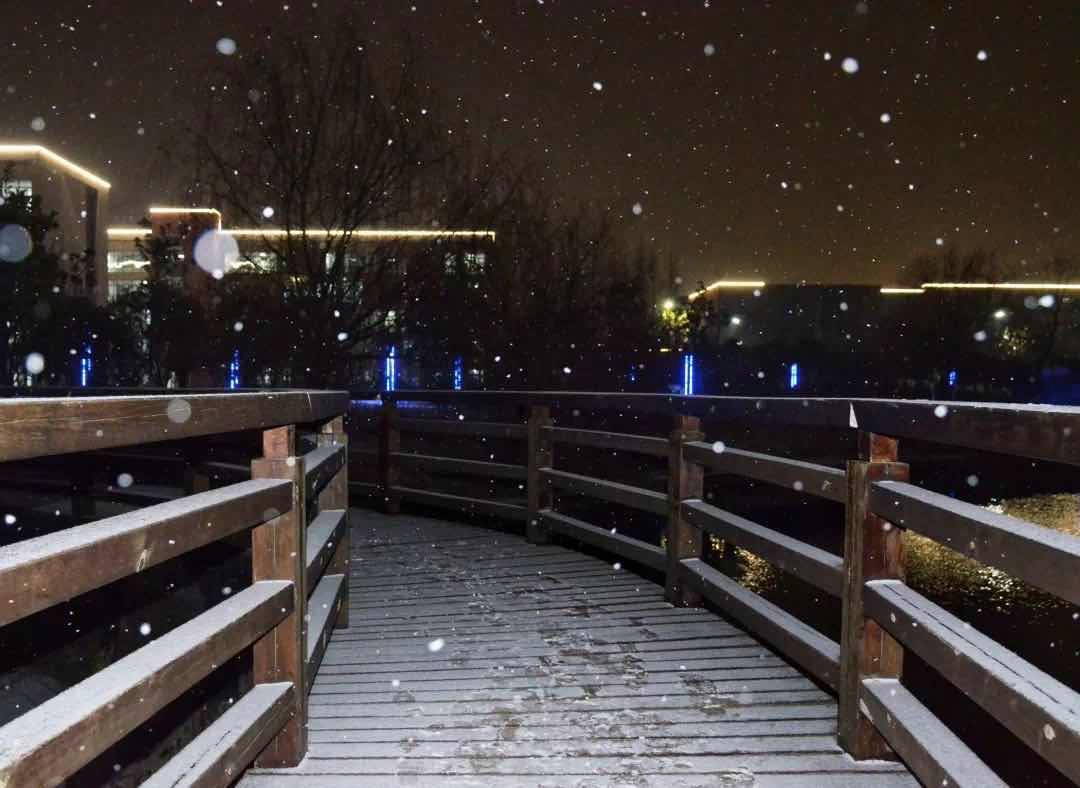 1675755630853339.jpg 640 (39).jpg