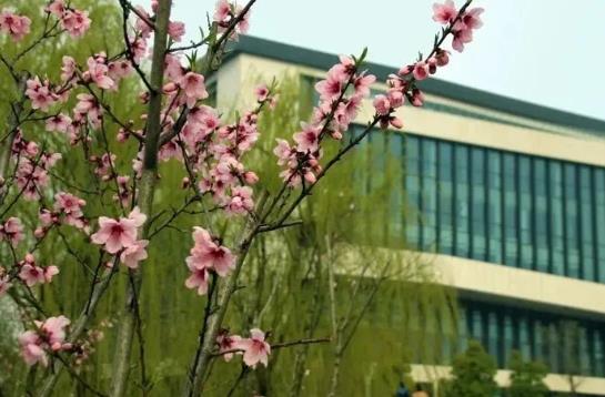 1687400859183115.jpg 360截圖20230622102647295.jpg